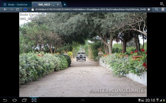 entrada novia