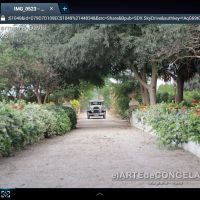 entrada novia