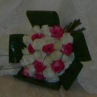mi ramo