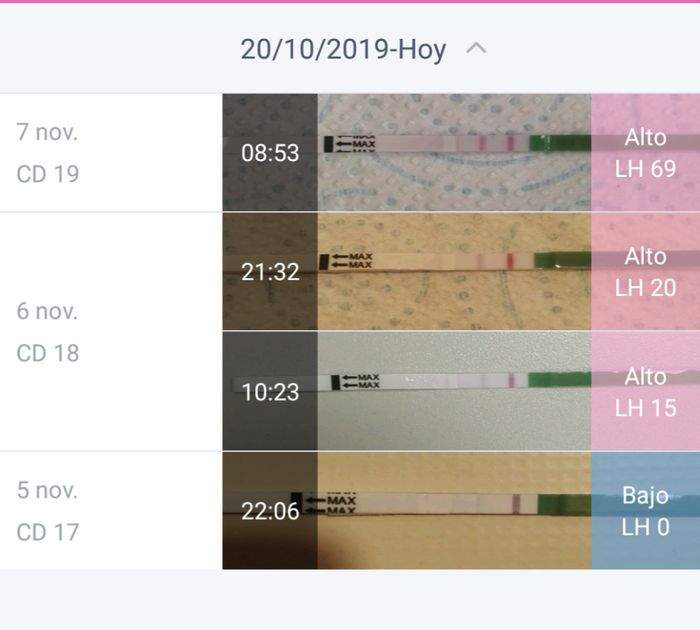 Buscadoras Noviembre 2019 1