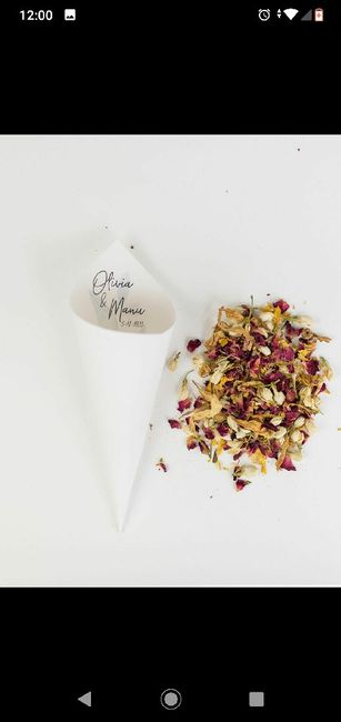 Alternativa al arroz y confeti de pétalos - 1