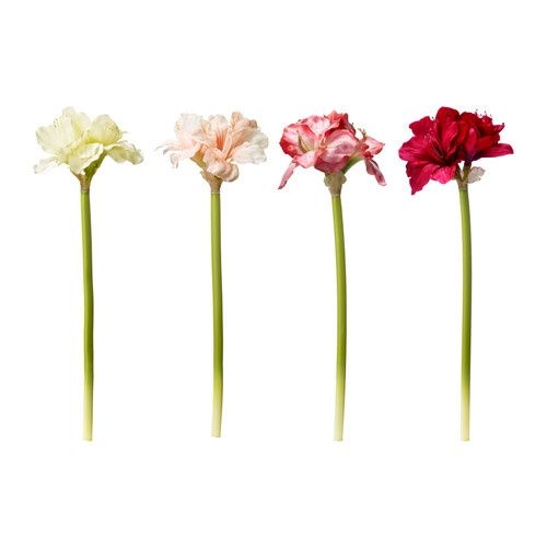 flores