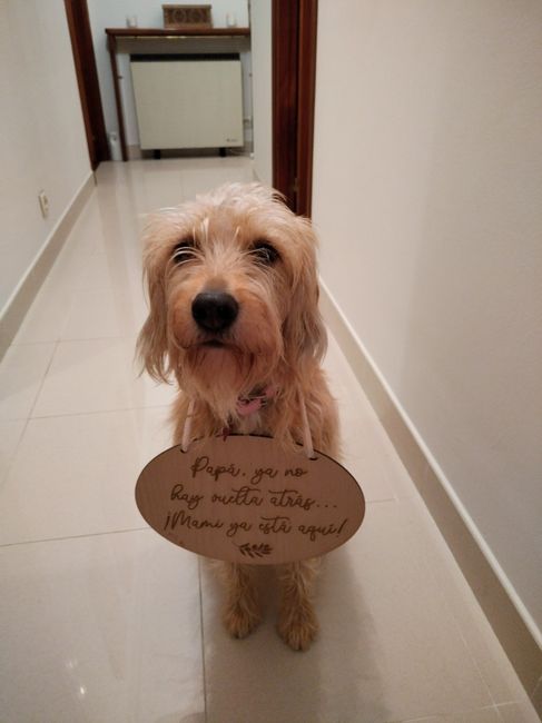 Cartel madera - Ya llega la novia 2