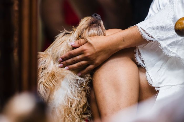 Fotos reportaje boda + intento de resumen del dia b 13