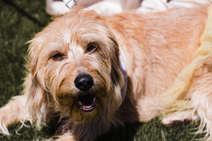 Fotos reportaje boda + intento de resumen del dia b 25