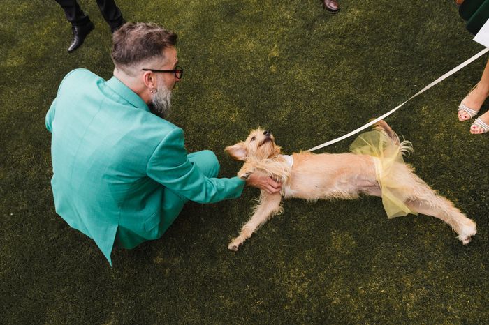 Fotos reportaje boda + intento de resumen del dia b 46