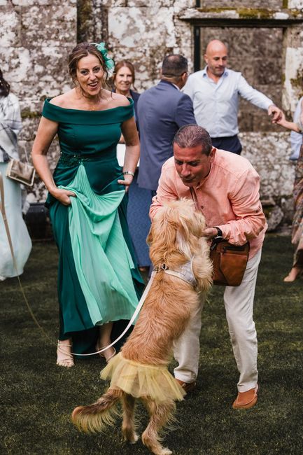 Fotos reportaje boda + intento de resumen del dia b 47