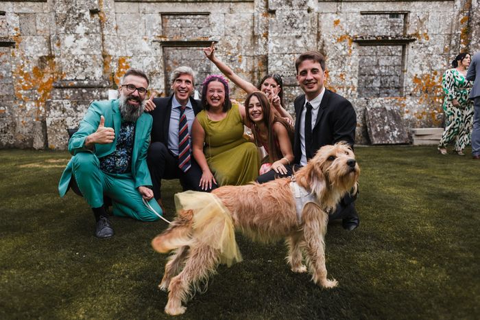 Fotos reportaje boda + intento de resumen del dia b 48