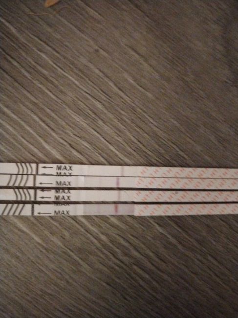 Buscadoras más de 1 año - 2022 - 2