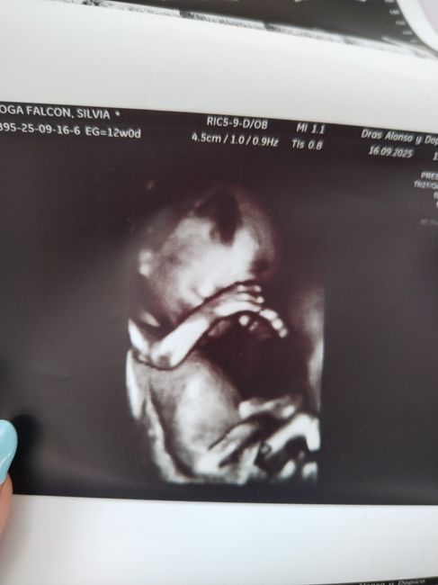 Buscadoras más de 1 año - 2022 - 1