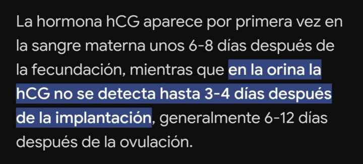 Buscadoras octubre 2024❤️ - 1