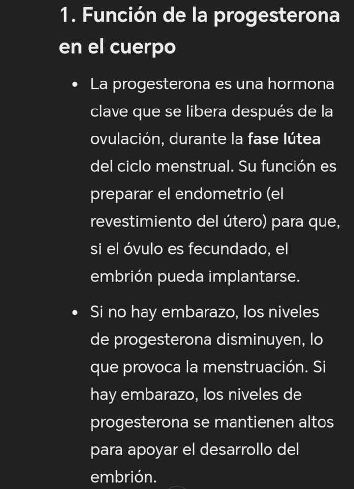 Buscadoras octubre 2024❤️ - 4