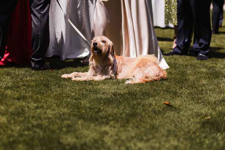 Fotos reportaje boda + intento de resumen del dia b - 25