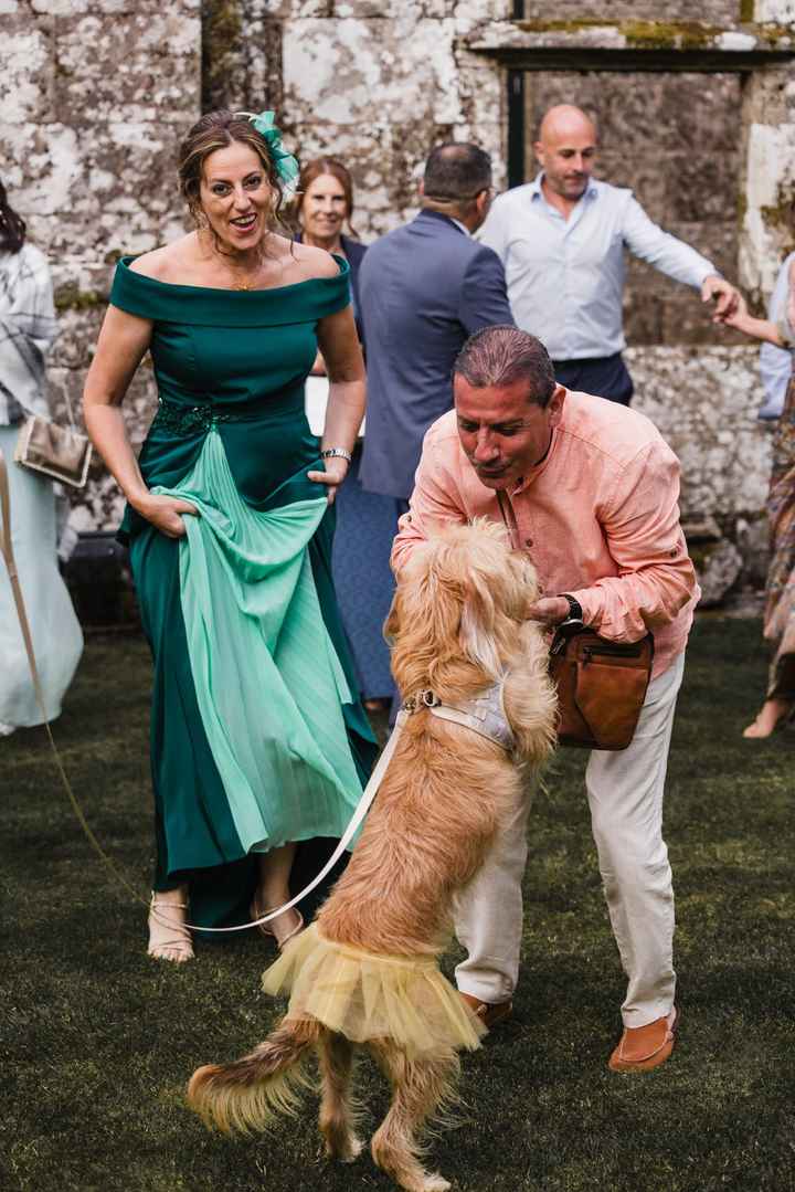 Fotos reportaje boda + intento de resumen del dia b - 39