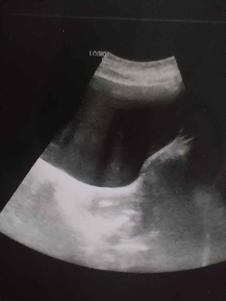 Buscadoras más de 1 año - 2022 - 1