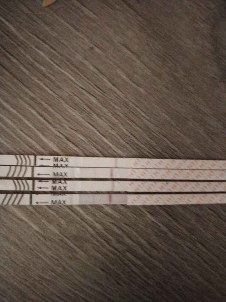 Buscadoras más de 1 año - 2022 - 2