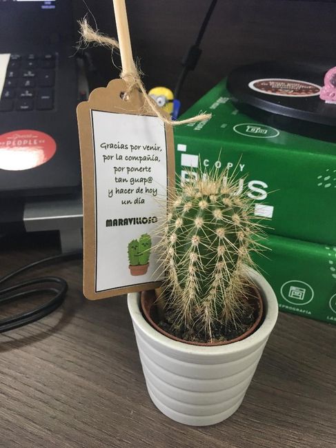 Cactus