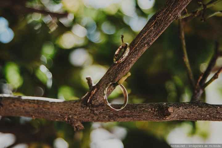 Alianzas de boda