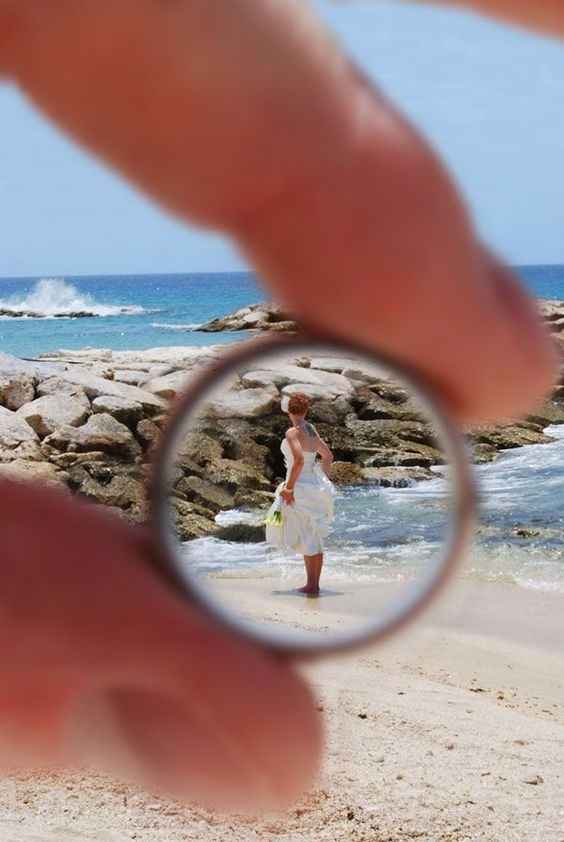 alianzas de boda