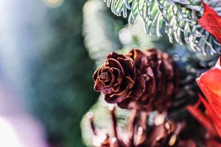 Elementos de la decoración de su boda