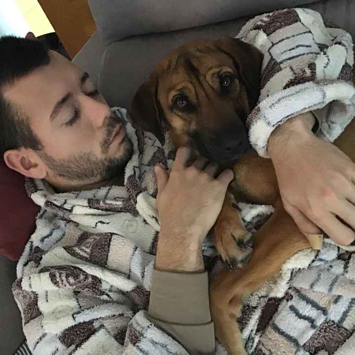 ¿Tener mascota o no? - 2