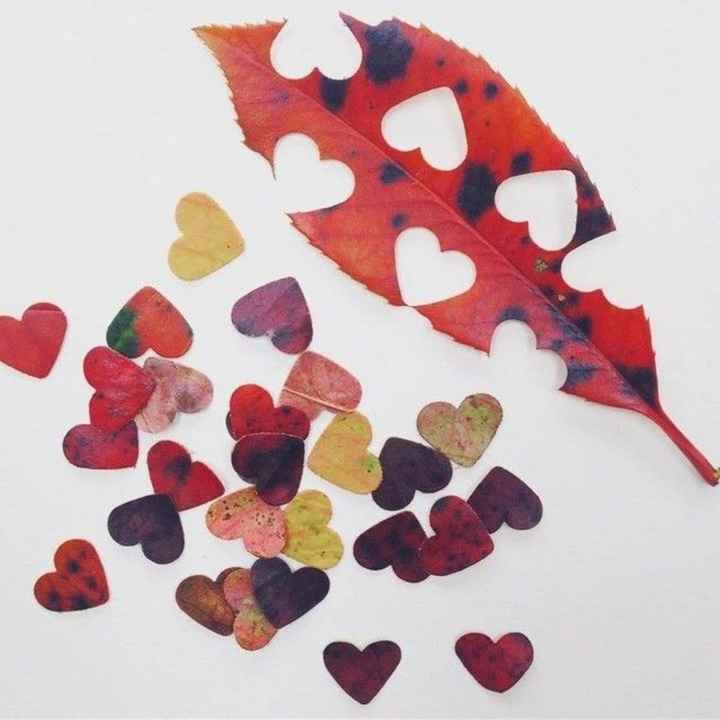 Confeti biodegradable - 1