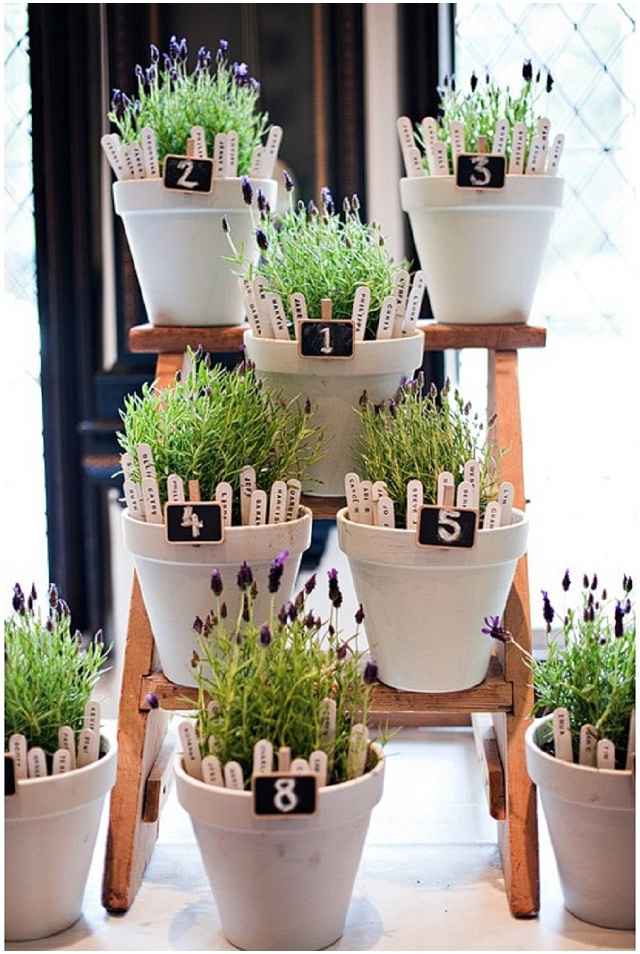 Necesito ideas de decoración  para lista de invitados - 2