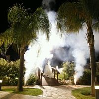 Muéstranos tu foto que más te haya gustado. - 2
