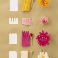 flores crepe