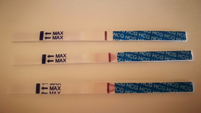 Experiencia Omifin - 1