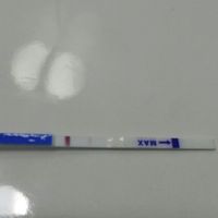 Buscadoras de un primer embarazo y tras muchos intentos no llega - 1