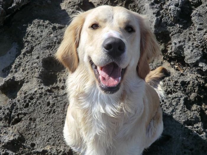 bimba feliz