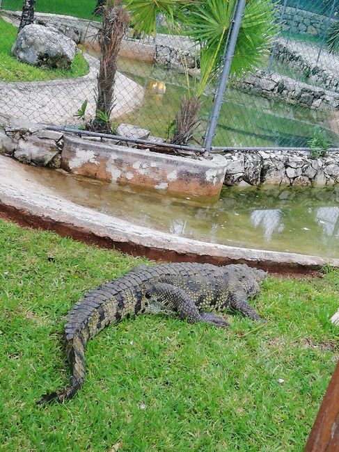 Luna de miel en la Riviera Maya, un gran acierto!! - 5