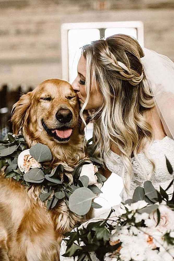Perro en la boda