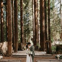 Boda en el bosque