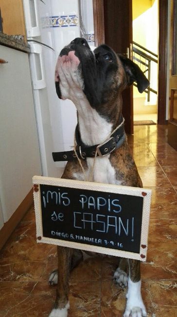 Mis papis se casan pizarra - 2