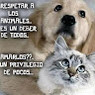 Nerea