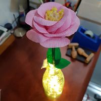 Feliz  San Jordi  🌹📚 - 2