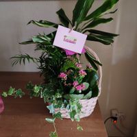 Ya estamos casados!!! Mini boda!!! - 5