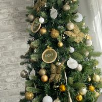 ¿Soléis decorar vuestra casa con adornos navideños? - 1