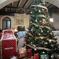 ¿Soléis decorar vuestra casa con adornos navideños? - 2