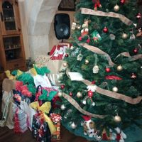 ¿Sois más de montar el árbol o el belén? - 1