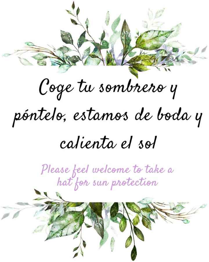 Cartel sombreros