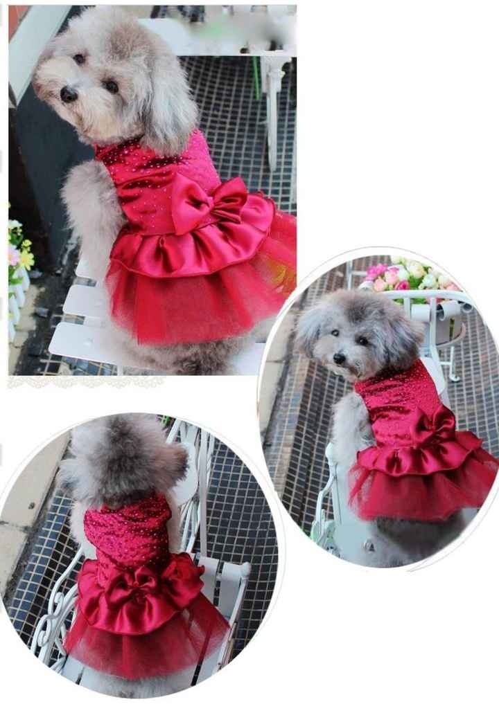 Vestido para mi perrita 