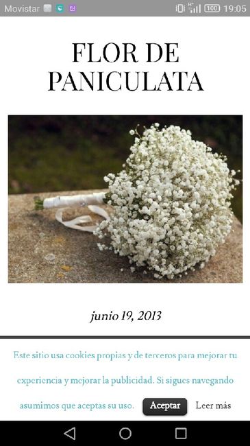 Ramos de novias casadas y futuras - 1