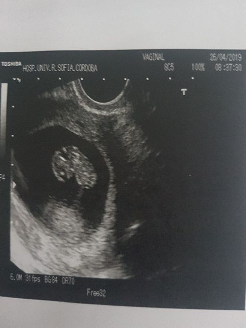 Futuras mamas diciembre 2019 2