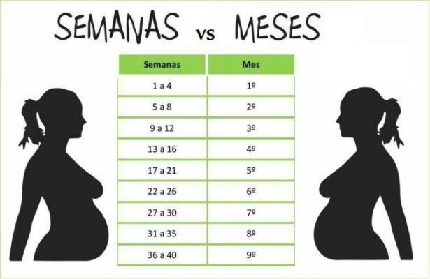 Semanas Vs Meses