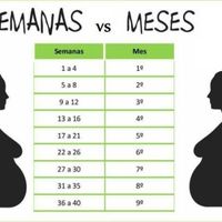 Semanas Vs Meses