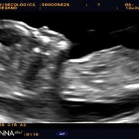 Futuras mamis diciembre 2019 oficial - 1