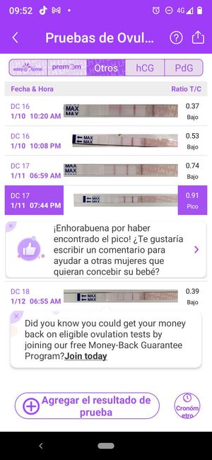 Buscadoras Enero 2023 - 1